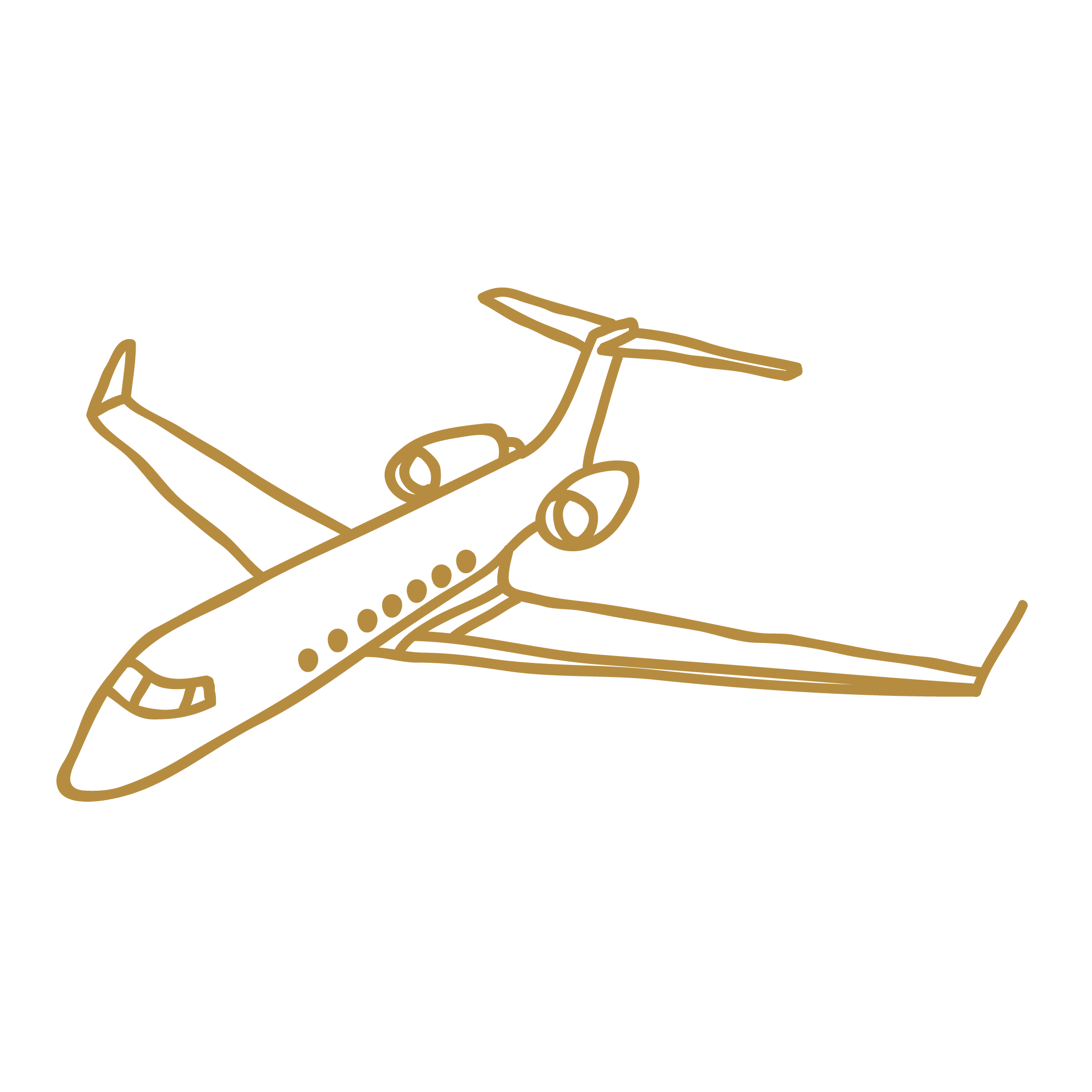 Airplane Icon