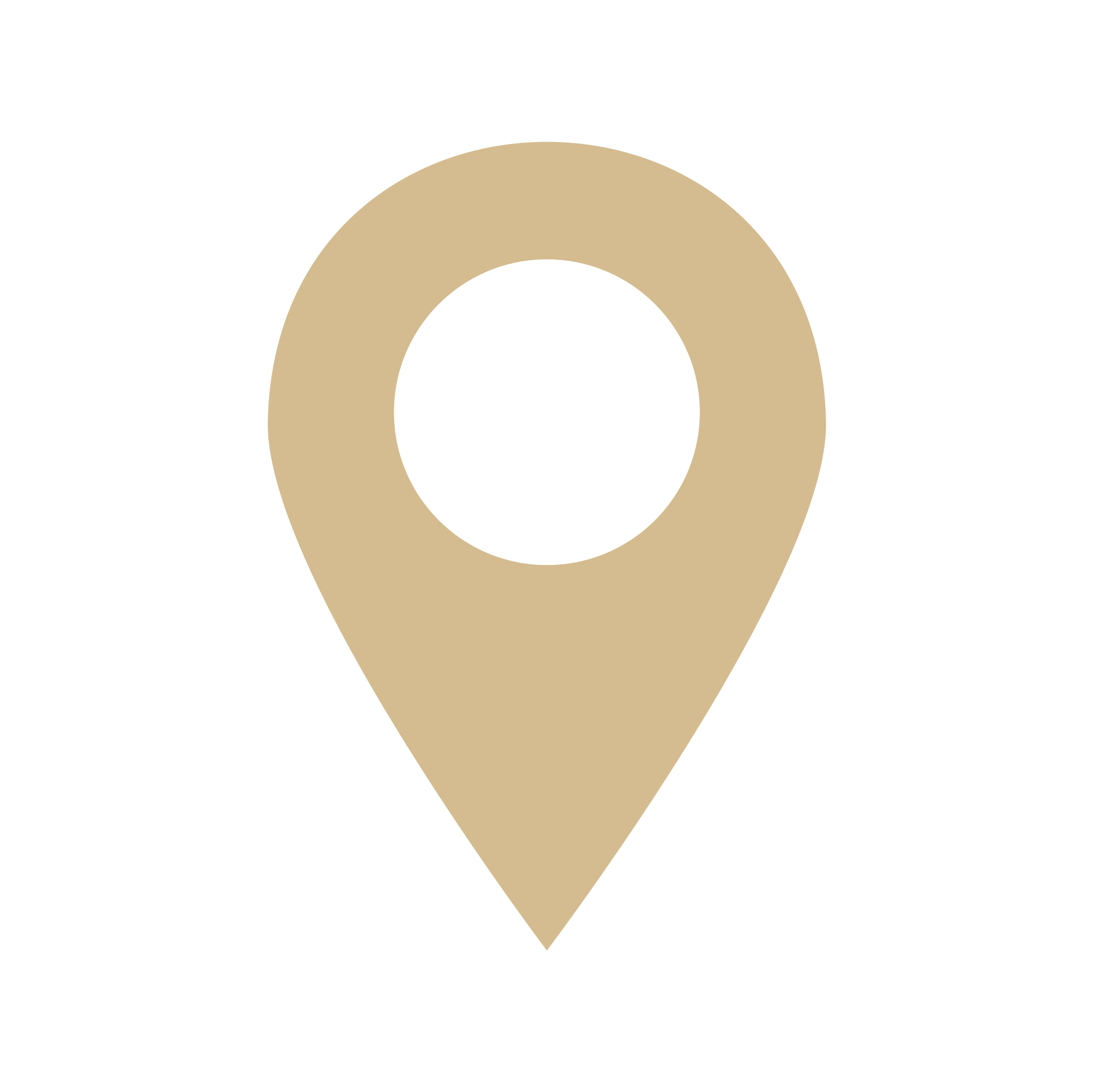 Location Icon