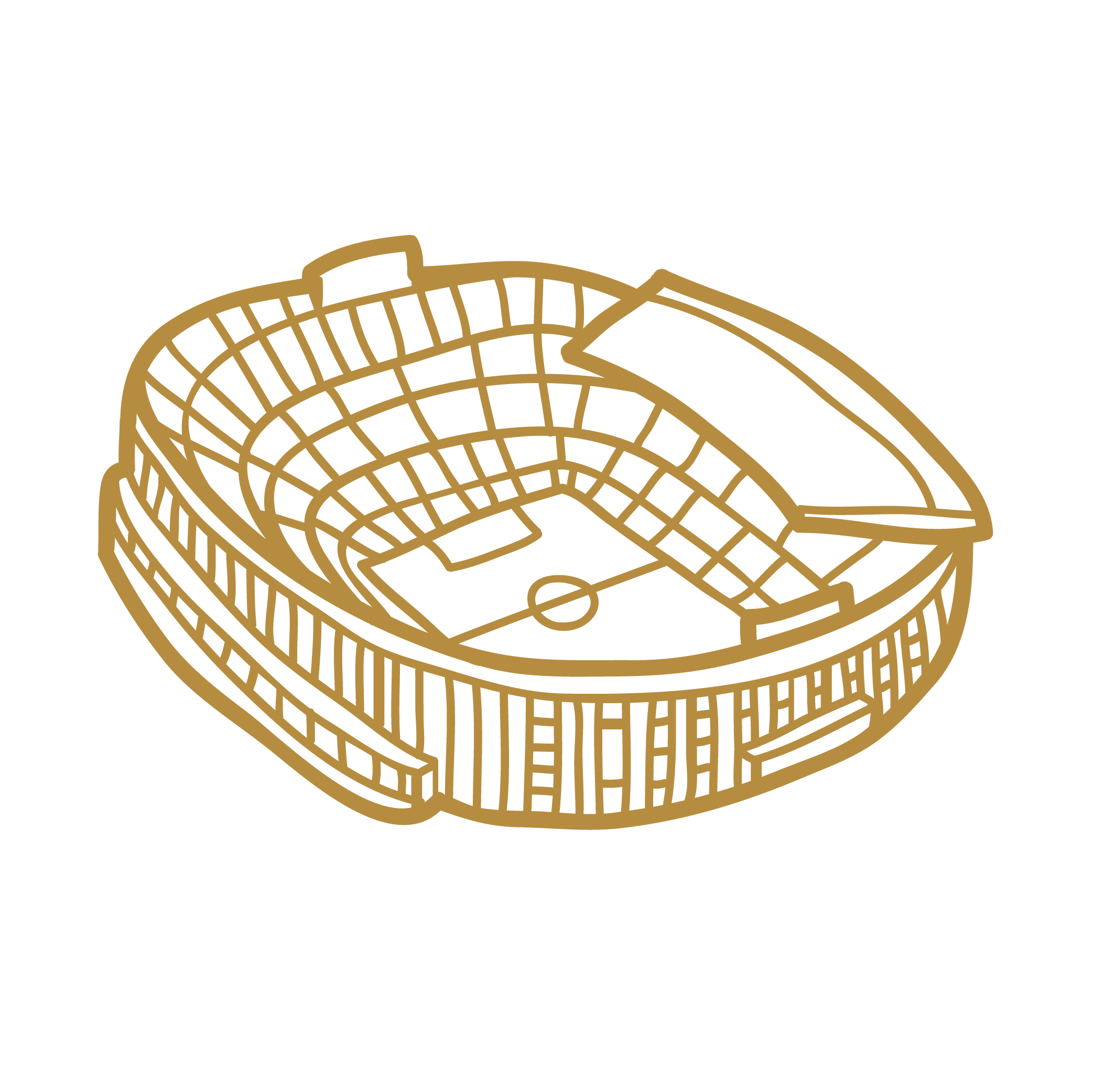 arena icon