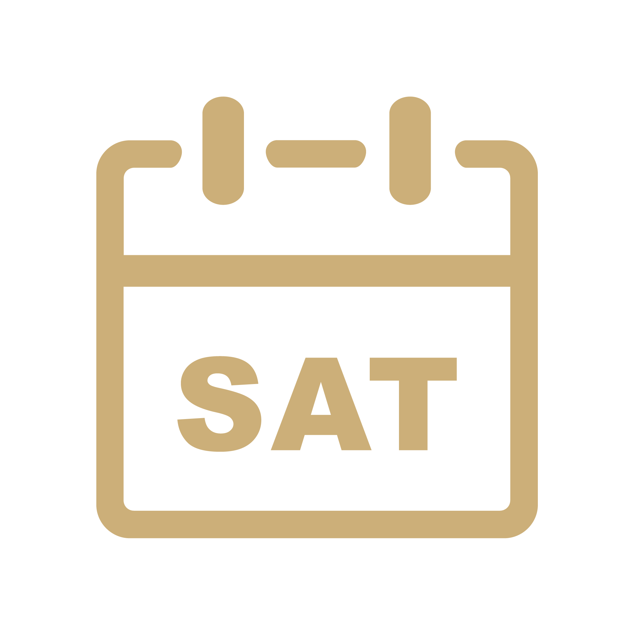 saturday calendar icon