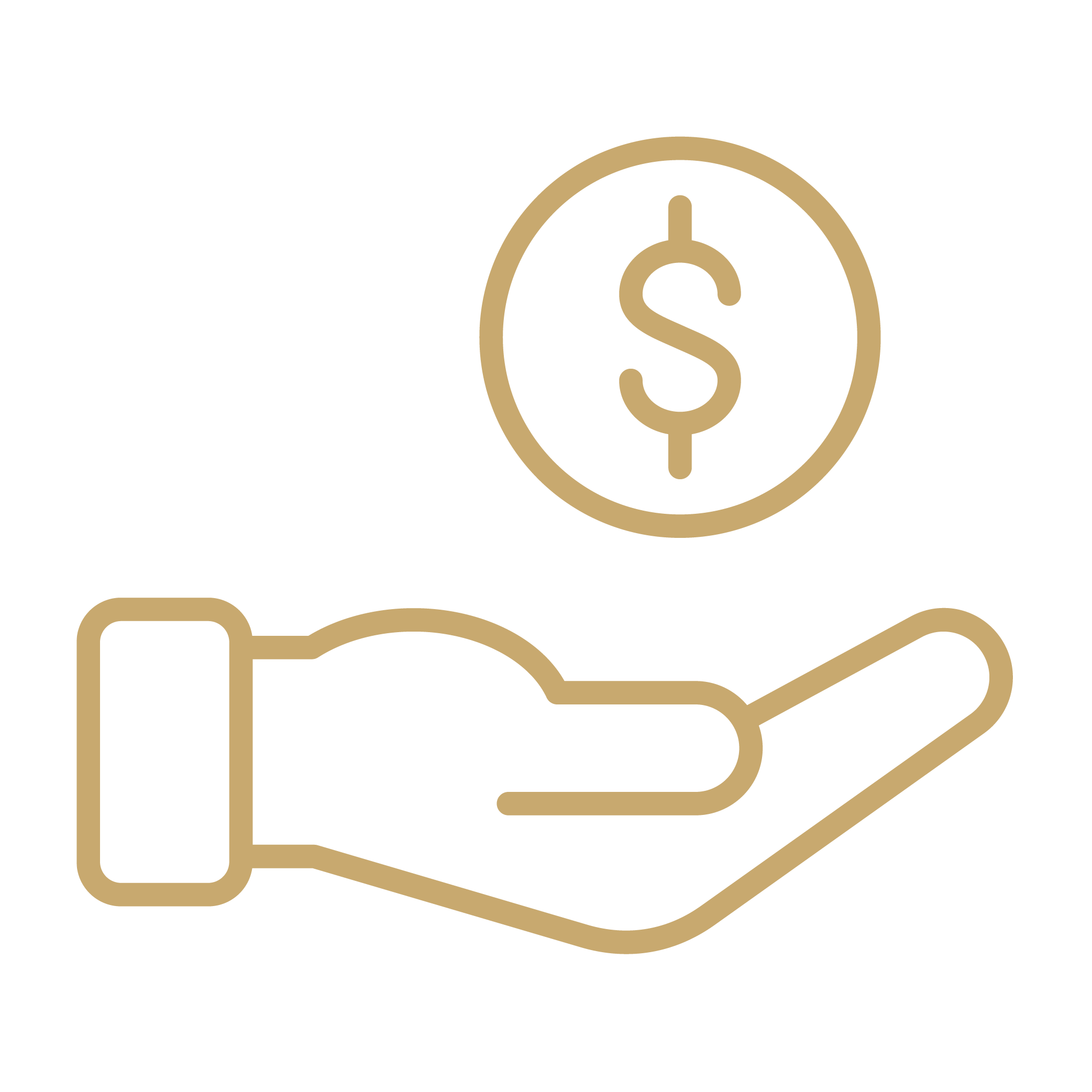 hand with dollar icon